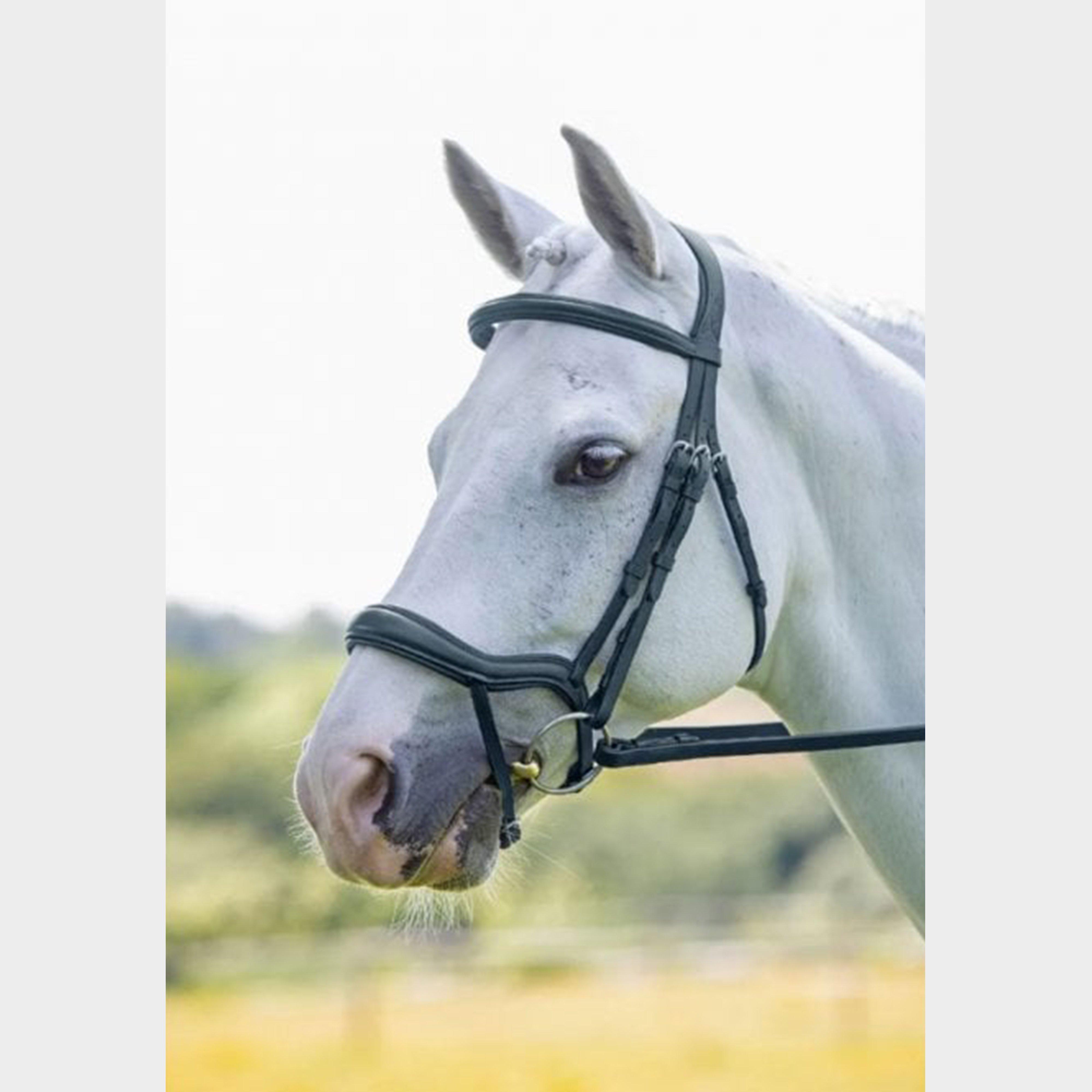 Velociti Ergonomic Flash Bridle Black - Brdle, BRDLE