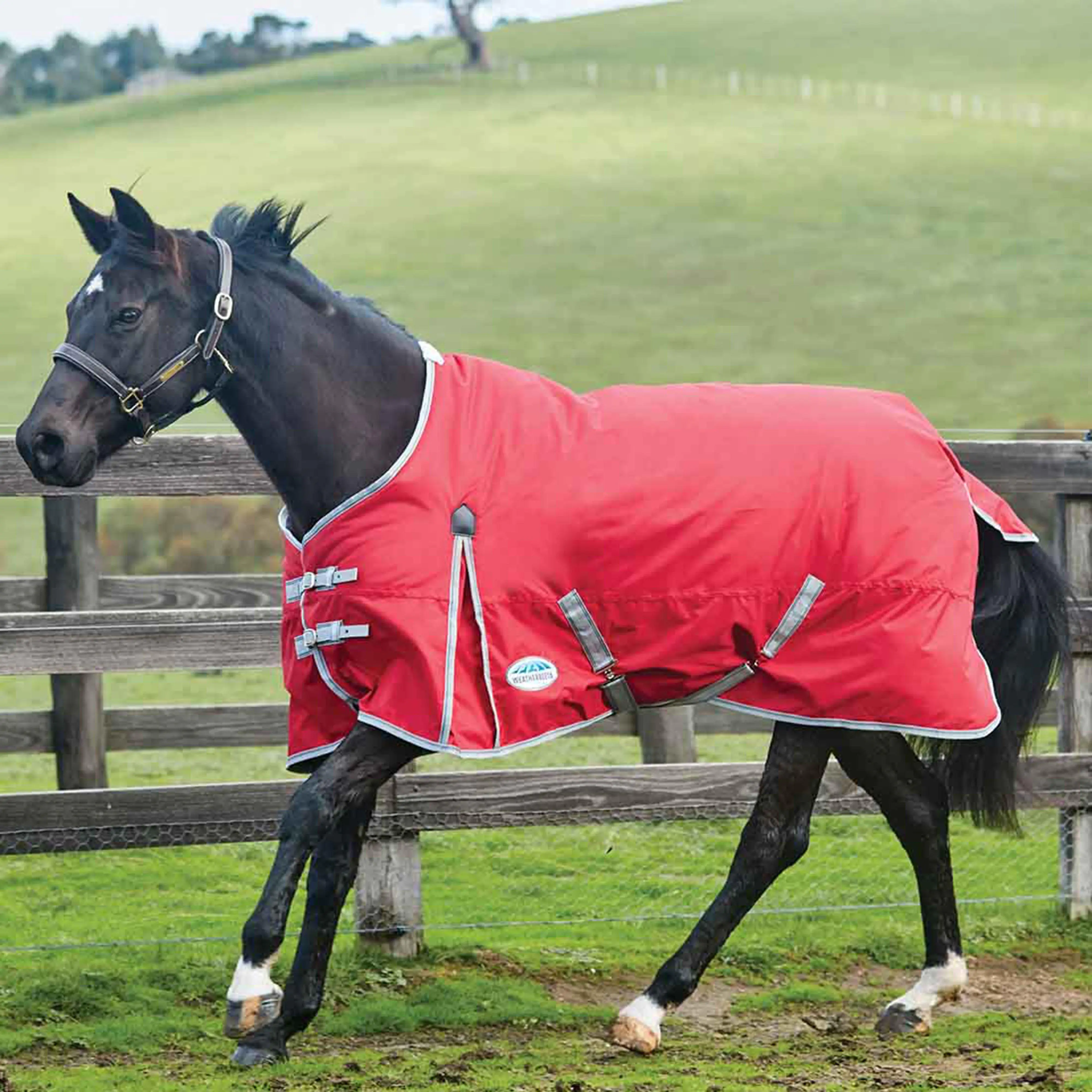 WeatherBeeta ComFiTec Classic 0g Lightweight Standard Neck Turnout Rug, Red
