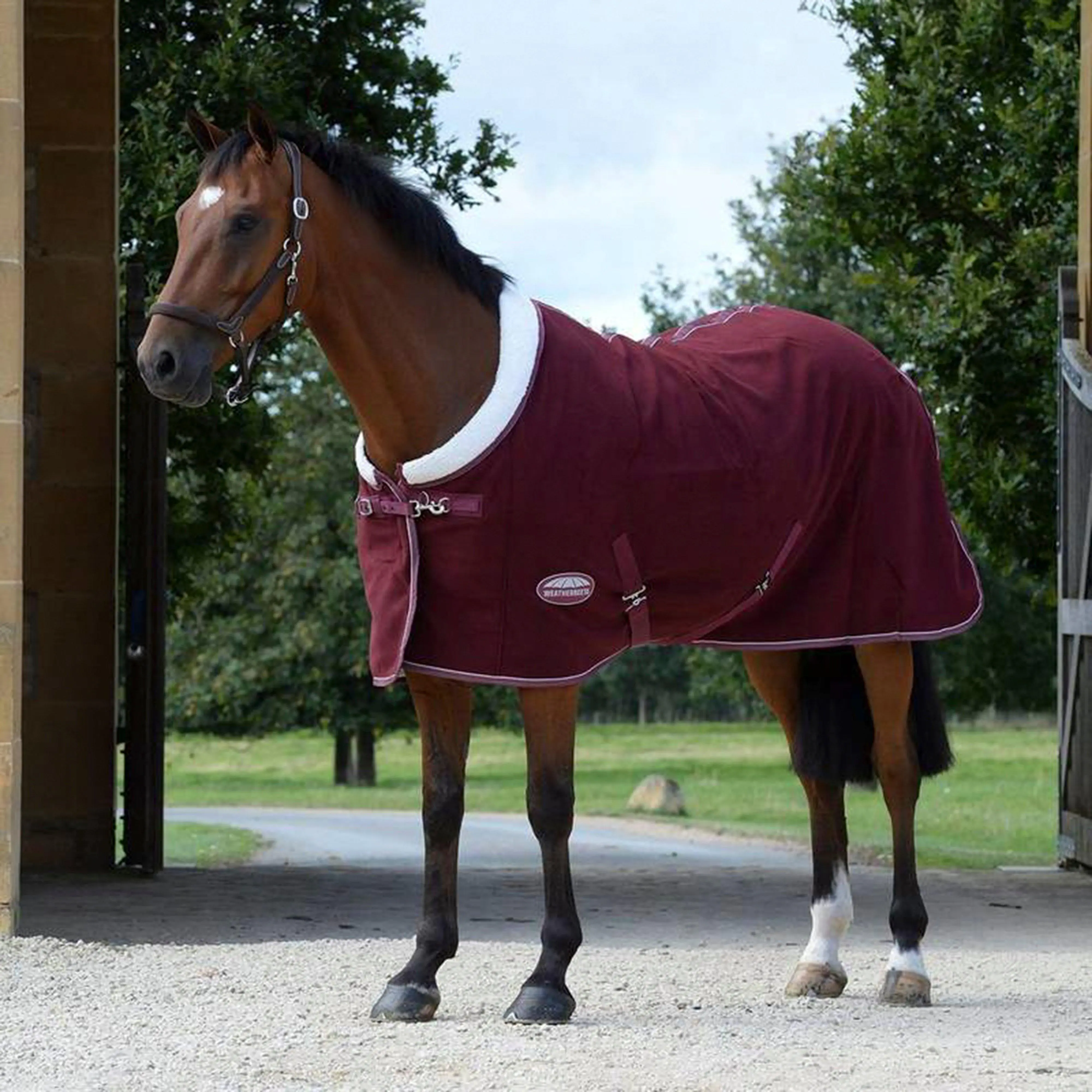 WeatherBeeta Sherpa Fleece Standard Neck Cooler, Purple