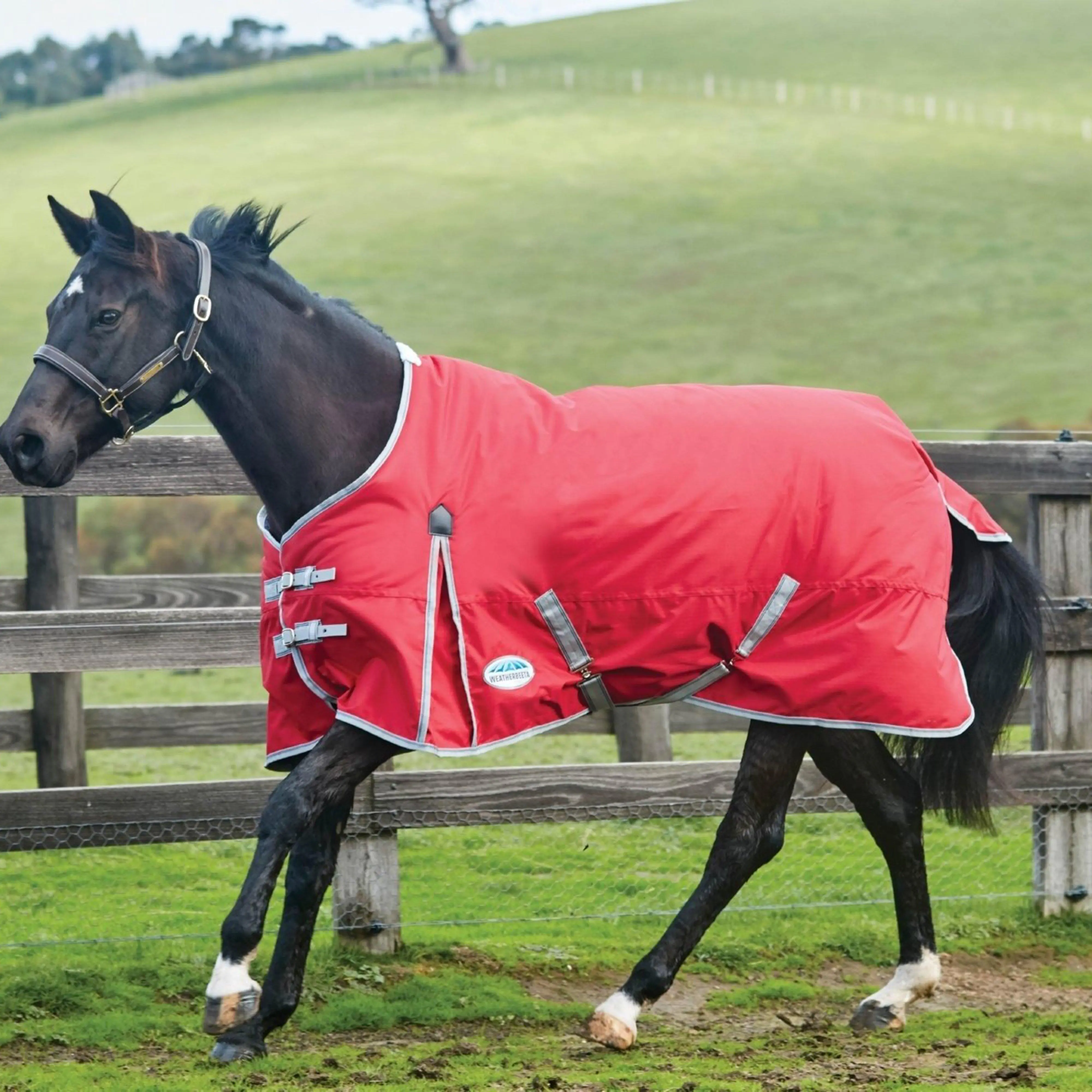 WeatherBeeta ComFiTec Classic 0g Lightweight Standard Neck Turnout Rug, Red