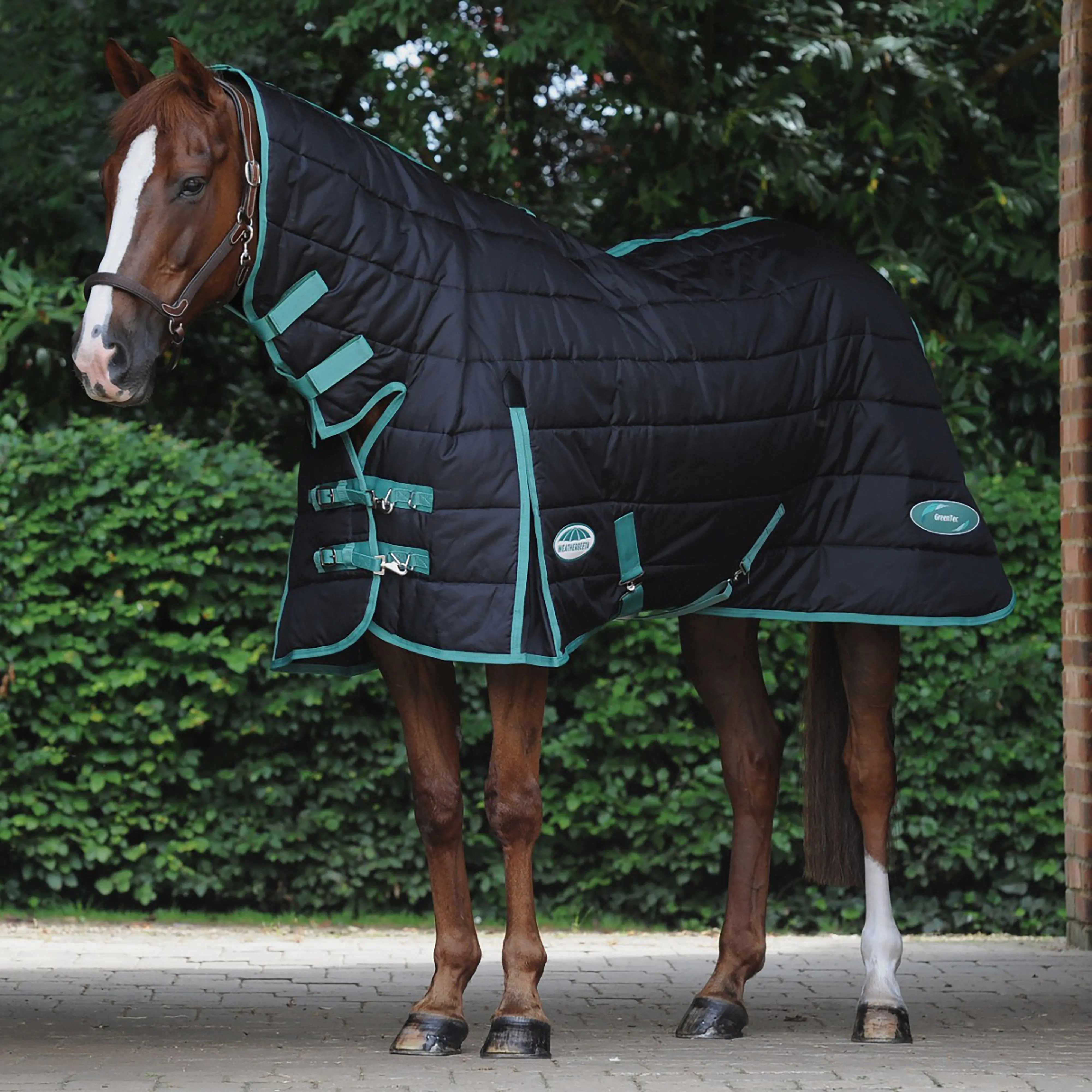 WeatherBeeta Green-Tec 150g Medium/Lightweight Combo Stable Rug, Black