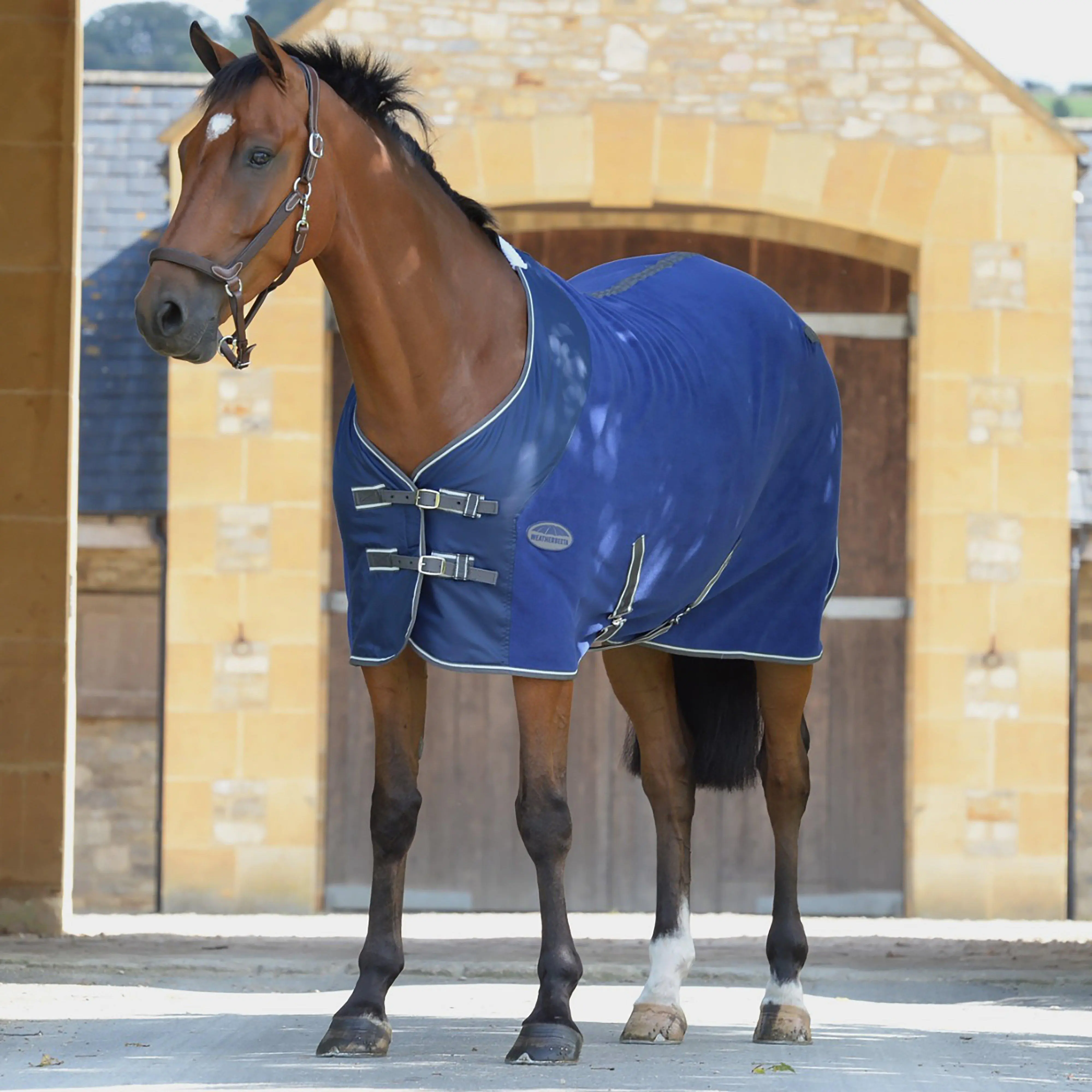 WeatherBeeta Fleece Cooler Standard Neck Rug, Blue