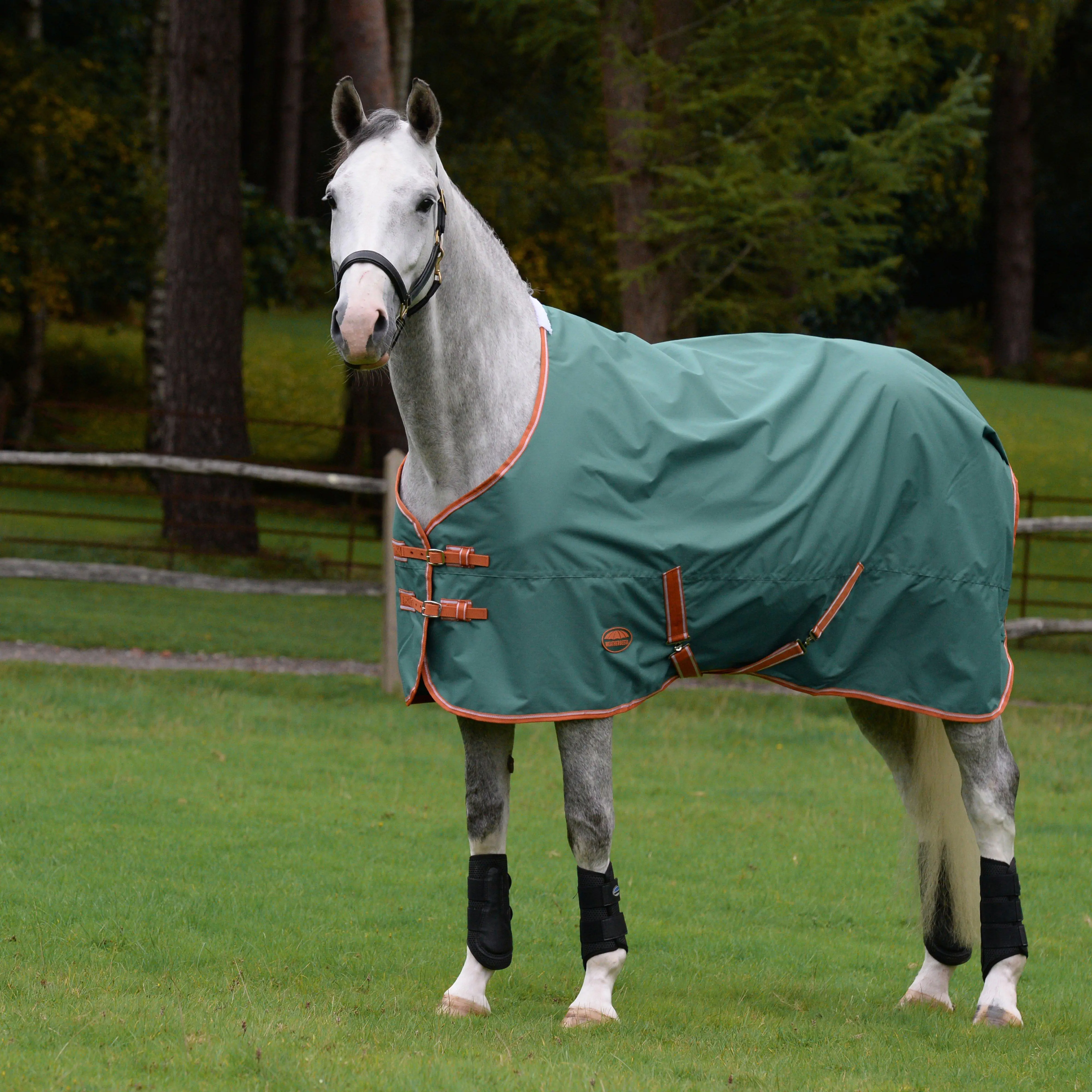 WeatherBeeta ComfiTec Tyro Standard Neck Medium