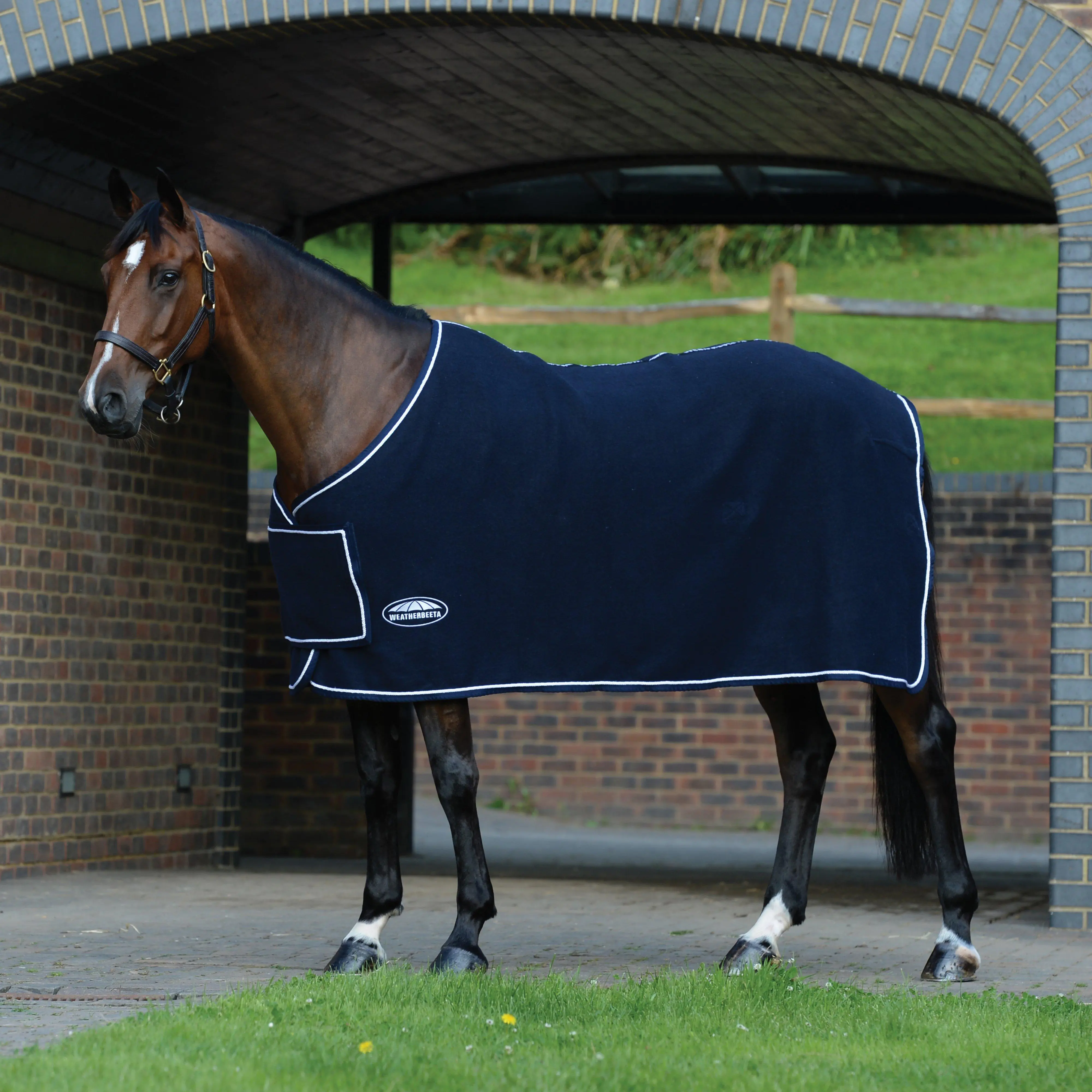 WeatherBeeta Wool Show Sheet With Chest Panel Standard Neck, Navy