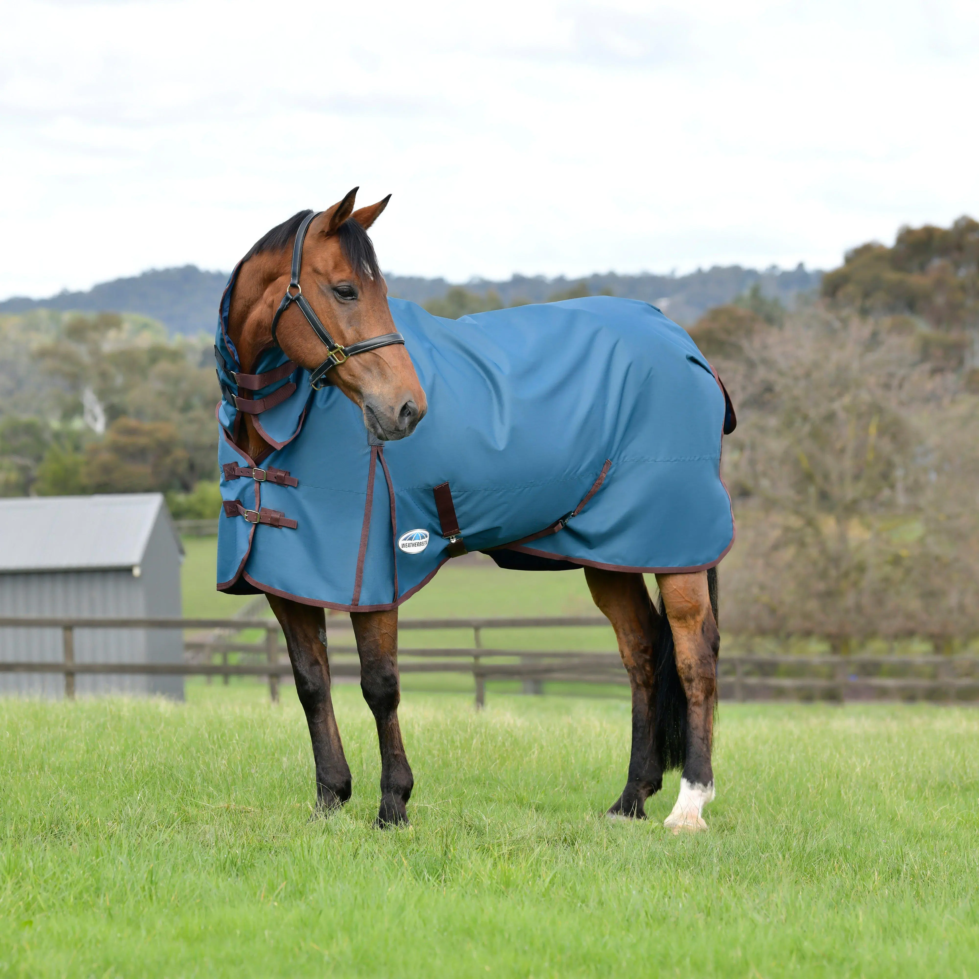 WeatherBeeta ComFiTec Classic Combo Neck Medium